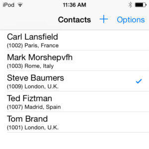 iOS list view with two-column default rendering, where both columns contain text data.